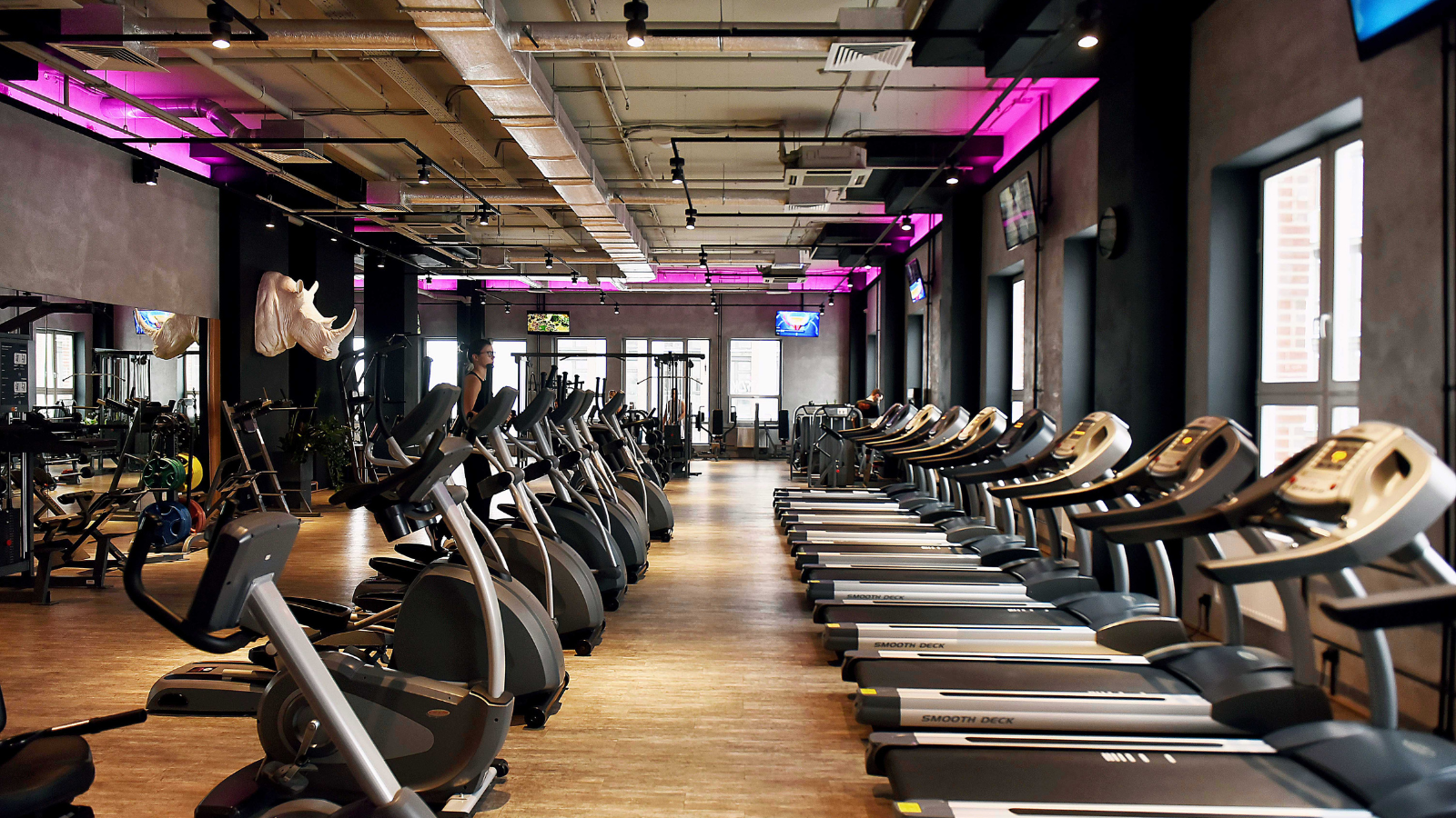 Gym and leisure premises cleaning